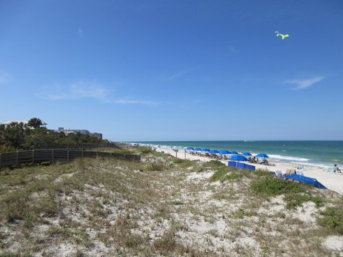 THE 15 BEST Things to Do in Indian Rocks Beach - 2024 (with Photos ...