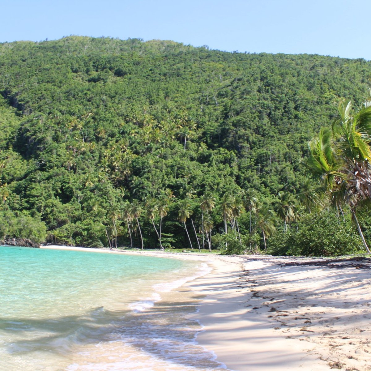 PLAYA ERMITANO TOUR (Santa Barbara de Samana) - 2022 What to Know ...