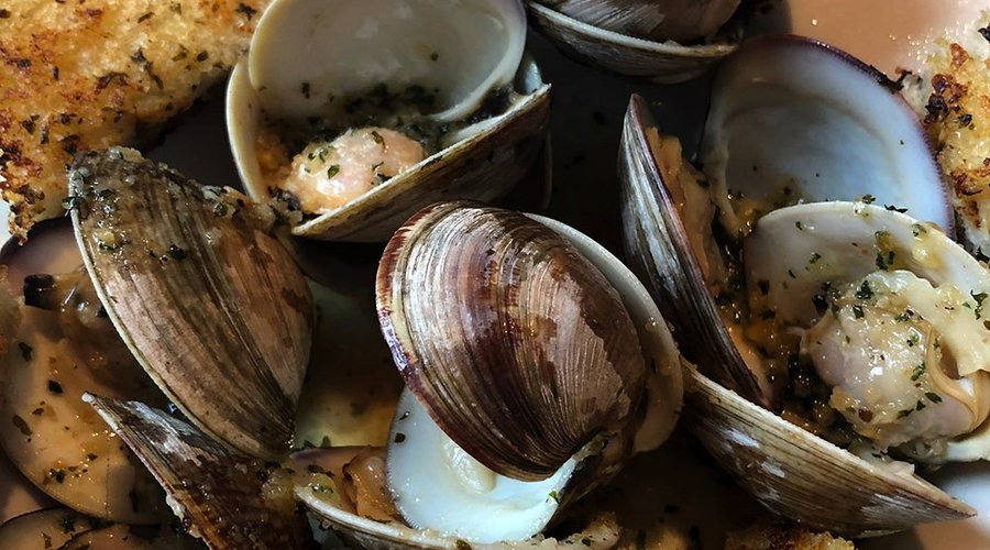 delicious fresh clams