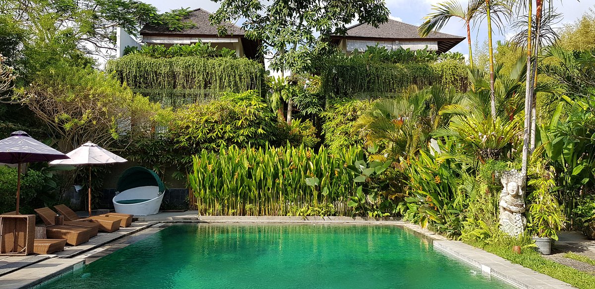 Aqua villa. Mokko Suite Villas Bali.