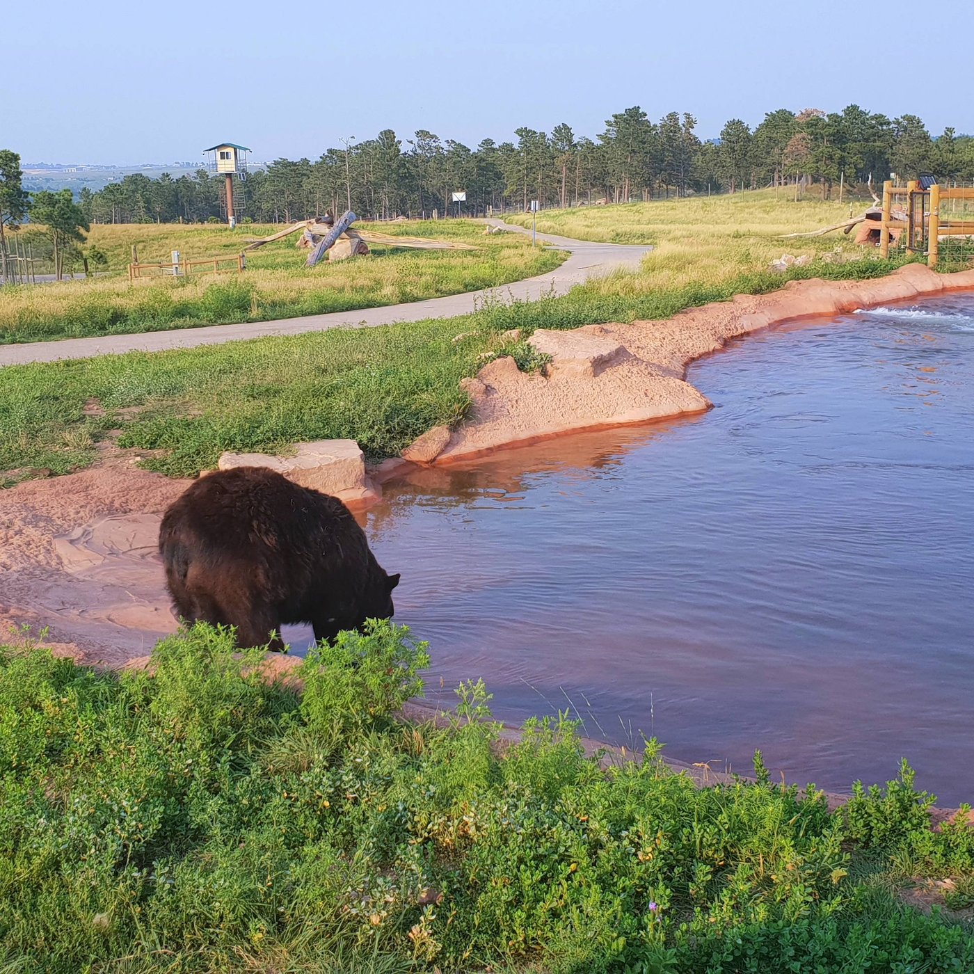 Rapid City, SD: All You Need to Know Before You Go (2024) - Tripadvisor