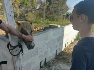 Viaggiatori