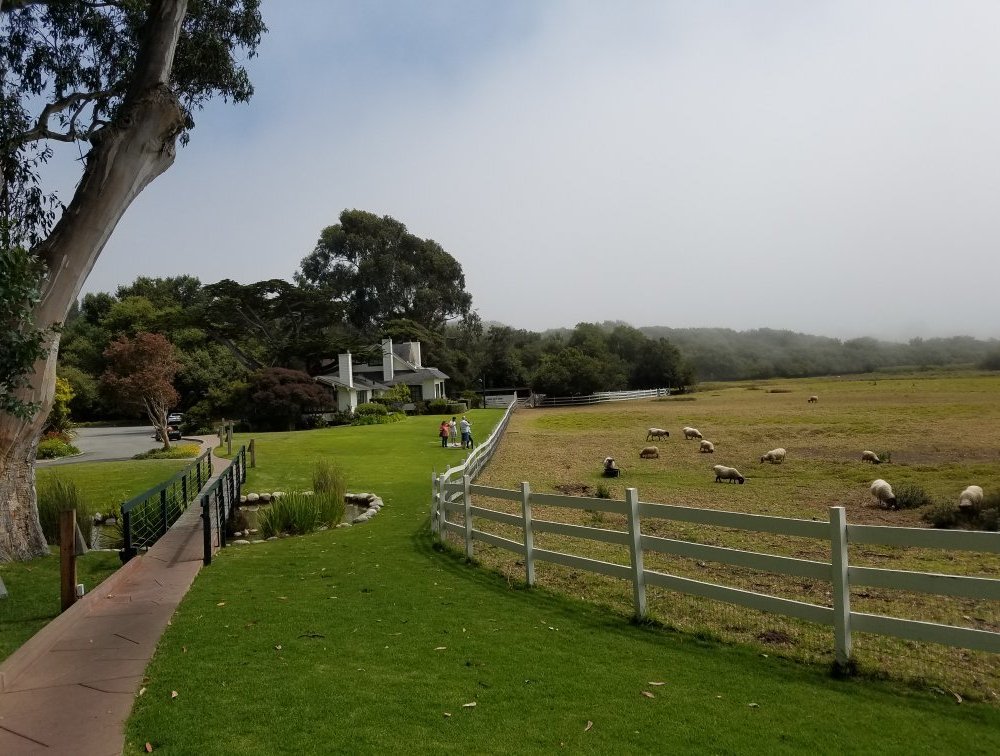 Mission Ranch Restaurant by null