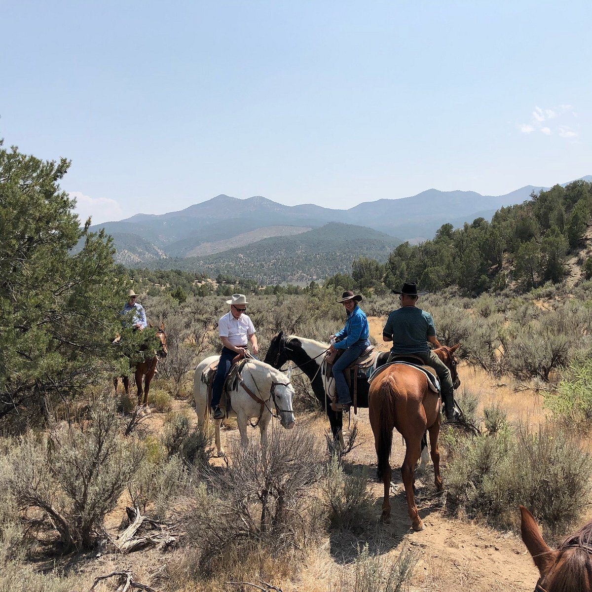 THE HIGH LONESOME RANCH - Updated 2024 Reviews (De Beque, CO)