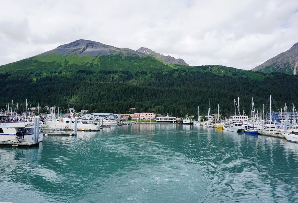 THE 15 BEST Things to Do in Seward (2024) - Must-See Attractions