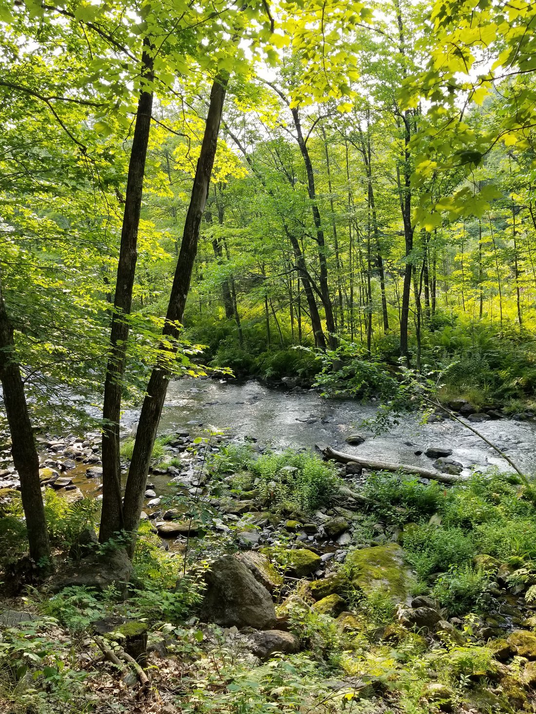 MARTIN STREAM CAMPGROUND: (Turner, ME) - Tripadvisor