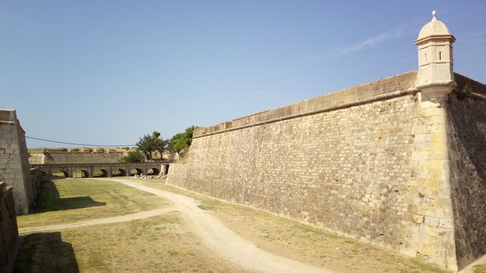 Imagen 8 de Castell de Sant Ferran