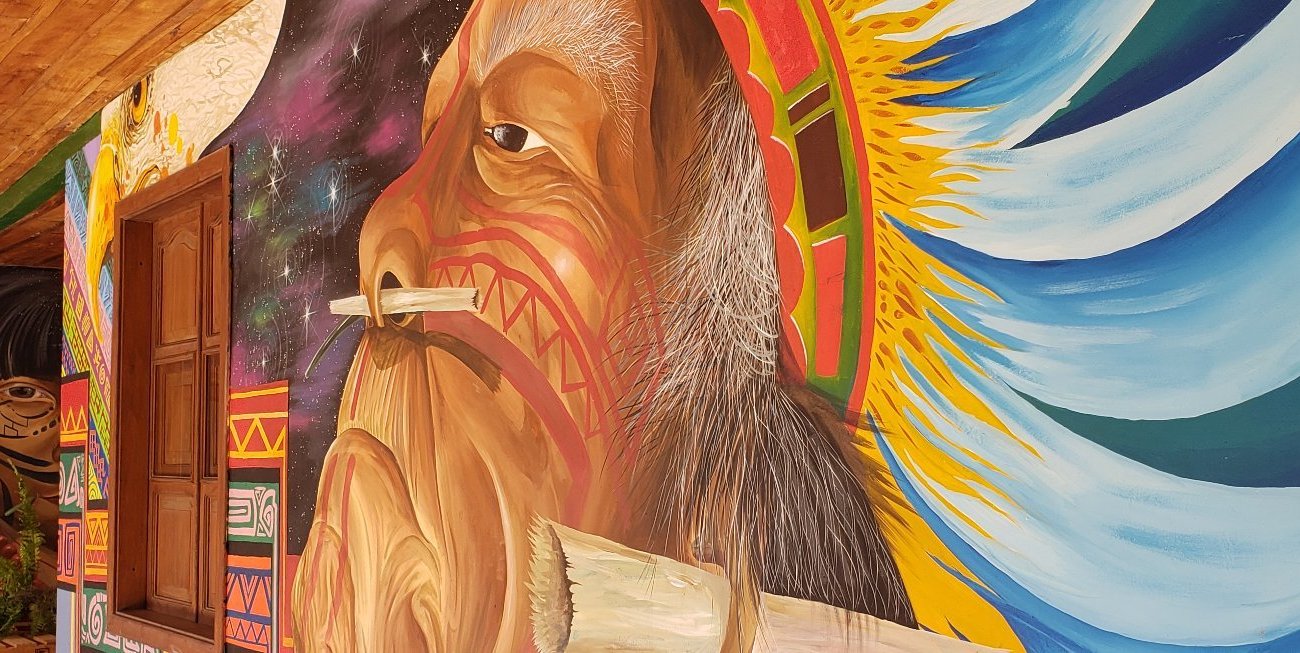 Ayahuasca Casa Artística by null