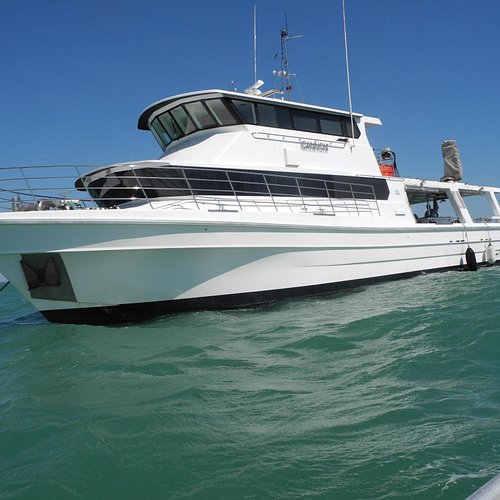 THE 10 BEST Darwin Fishing Charters & Tours (Updated 2024)