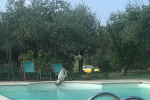 Viaggiatori