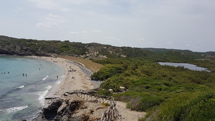 Imagen 4 de Playa d'en Tortuga