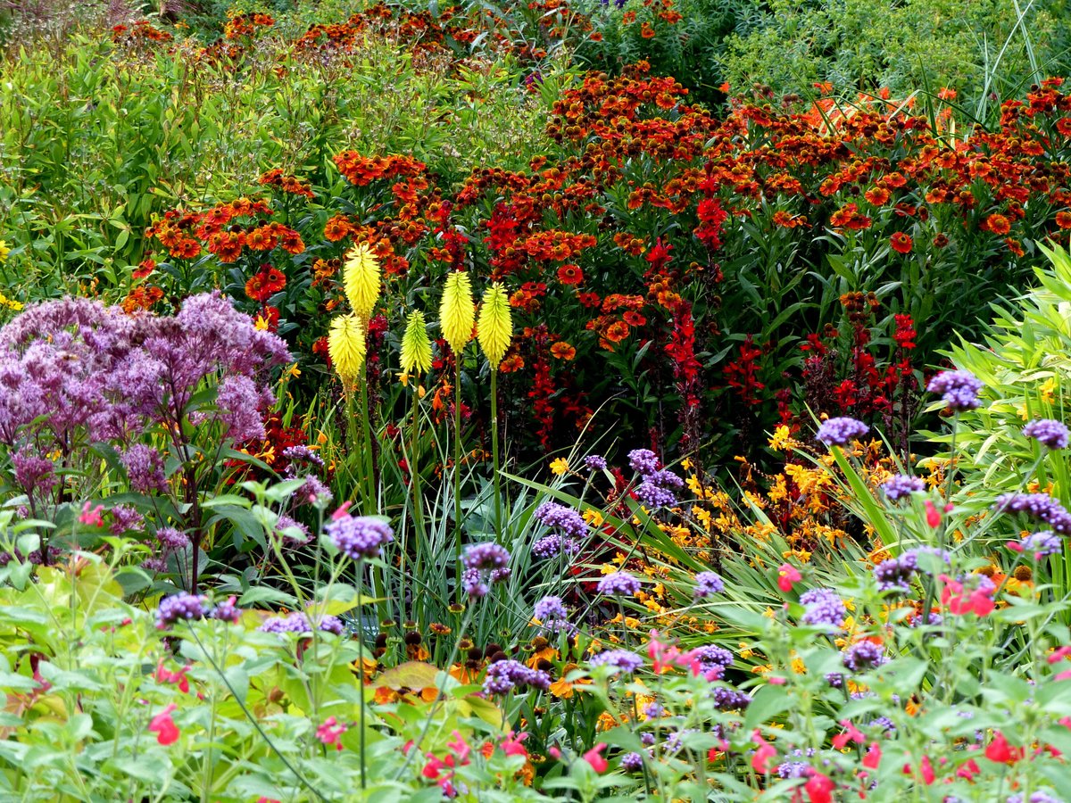 Rhs Garden Rosemoor - All You Need To Know Before You Go (2024)