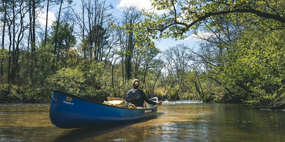 Tourisme à Le Teich 2023 Visiter Le Teich, France Tripadvisor