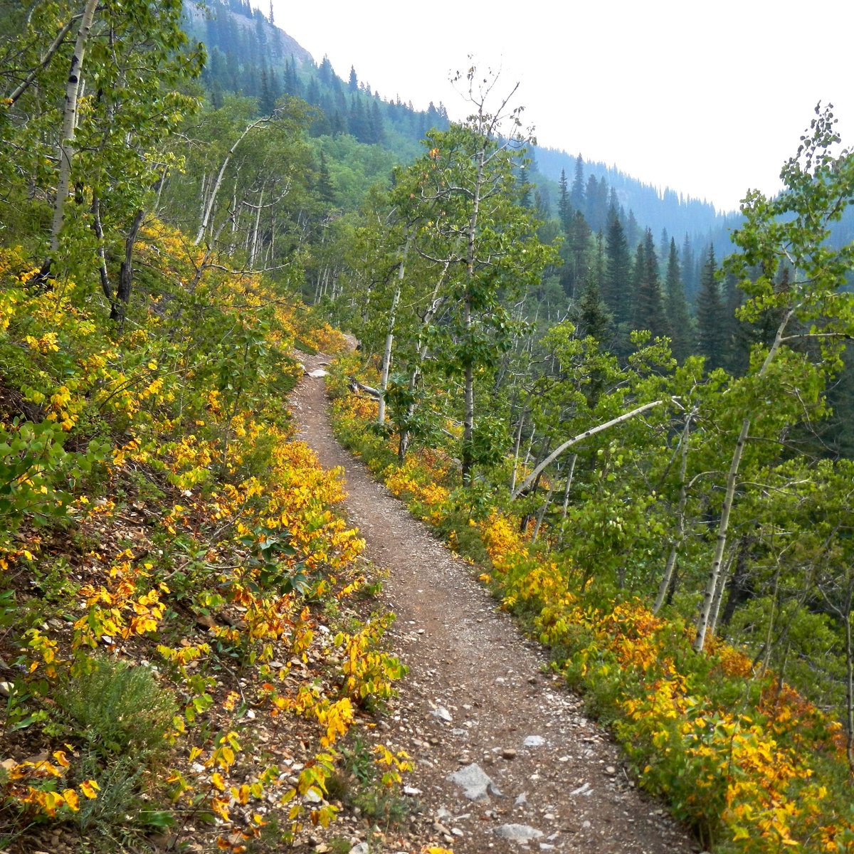 Prairie Mountain Hike - 브래그크리크 - Prairie Mountain Hike의 리뷰 - 트립어드바이저