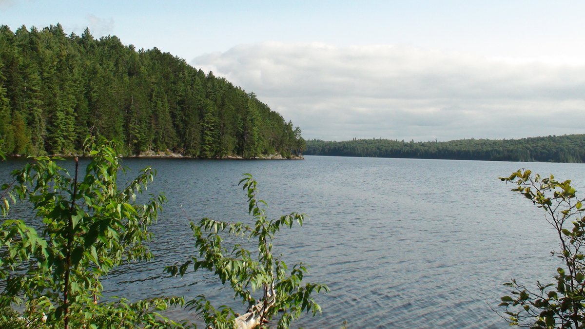 Lake Opeongo - All You Must Know Before You Go (2024)