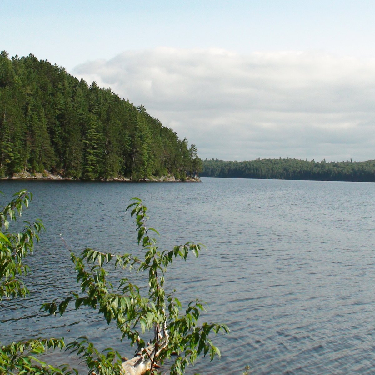 Lake Opeongo - All You Need to Know BEFORE You Go (2024)