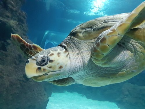 THE BEST Zoos & Aquariums in Lanzarote (Updated 2024)