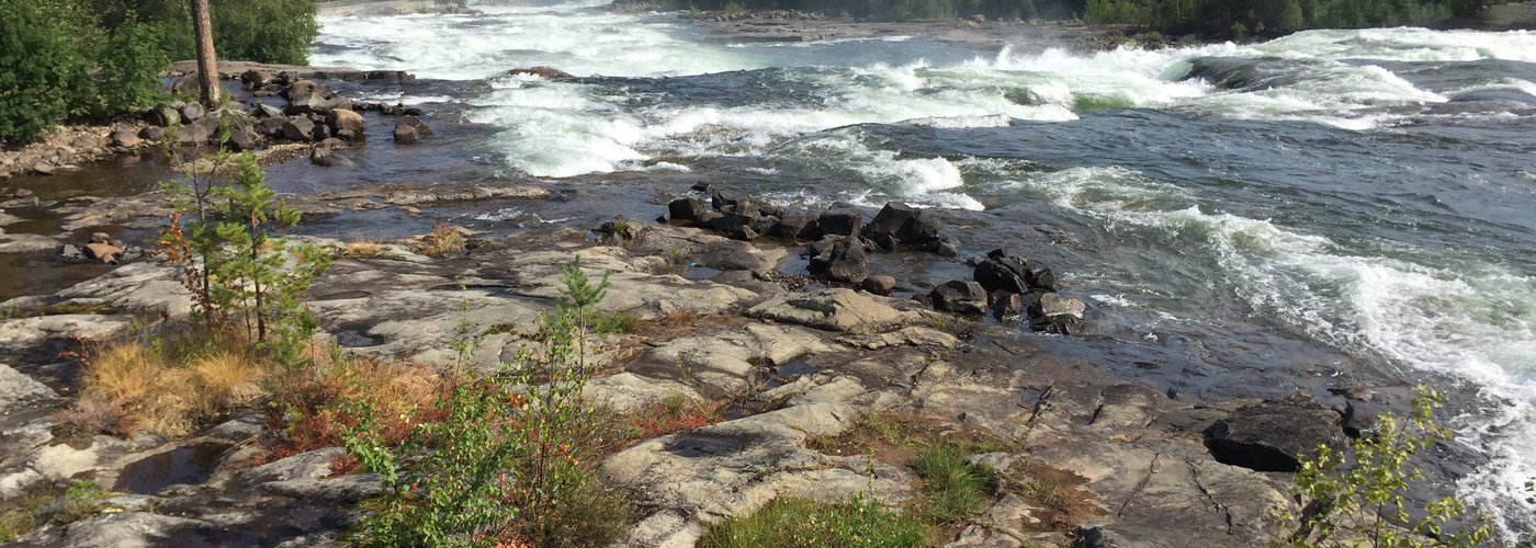 the rapids