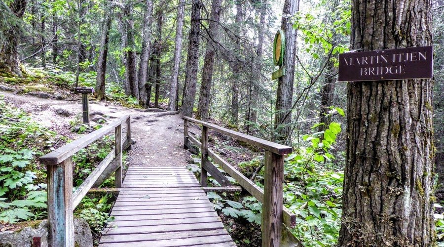 Martin Itjen Bridge on hiking trail from the Gold Rush Cemetery to Little Reid Waterfall