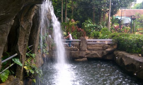 Entrance to the forest