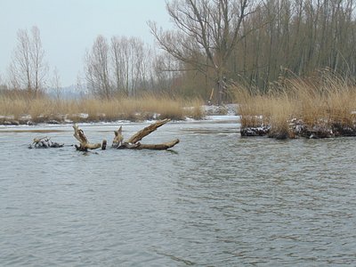 Partners - Visgids Biesbosch