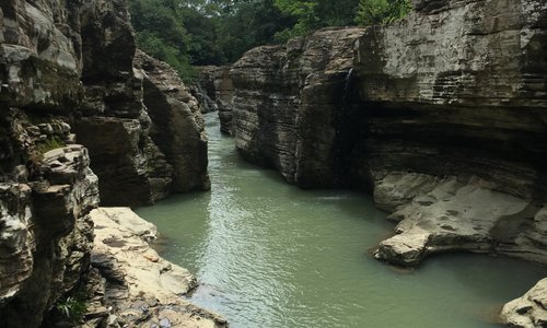 Naturaleza magica.