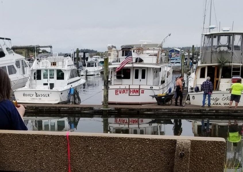 Saturday Market at the Port of Ilwaco image