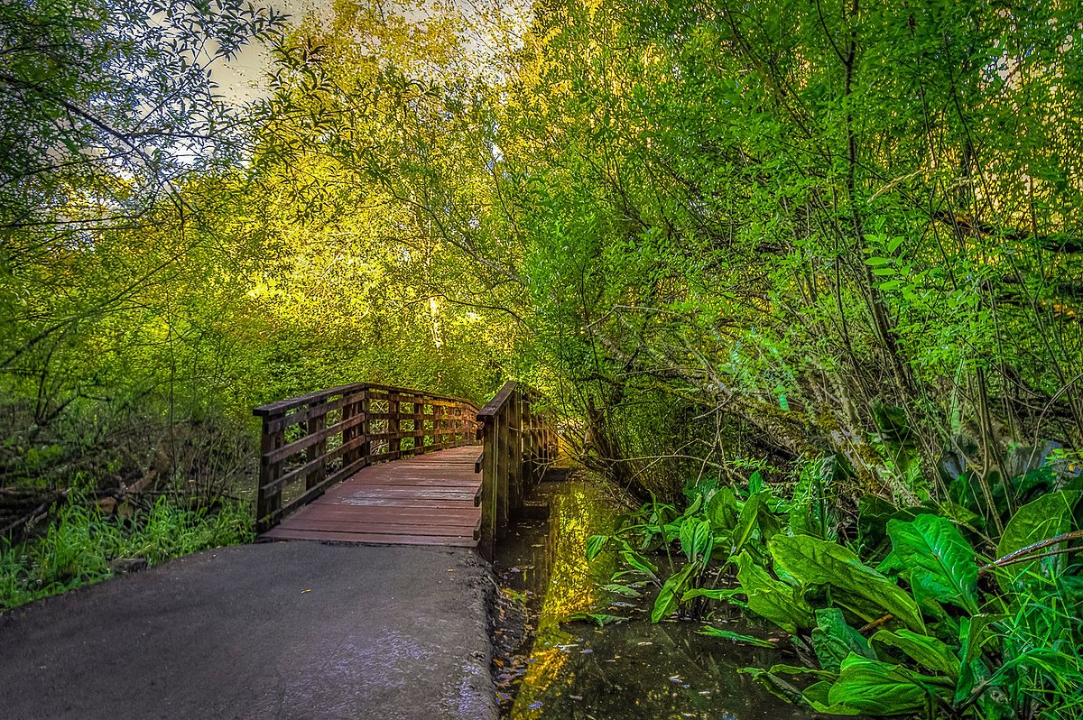 Scriber Lake Park Parking