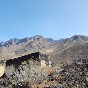 Ada, il primo robot umanoide di Spagna - Picture of Museo Elder de la  Ciencia y la Tecnología, Gran Canaria - Tripadvisor