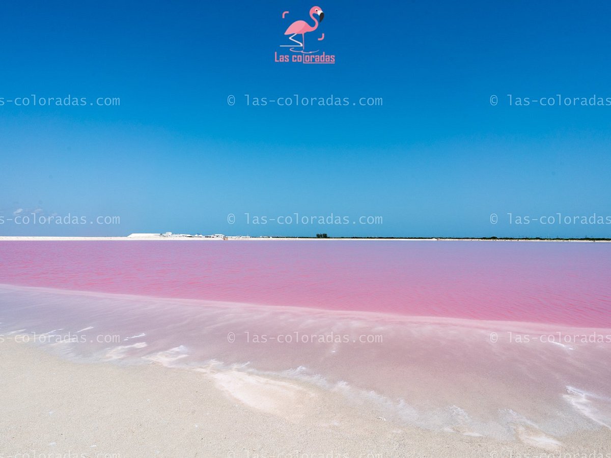 The Pink Ocean Of Los Coloradas Is A Bucket List Must! - Indie88