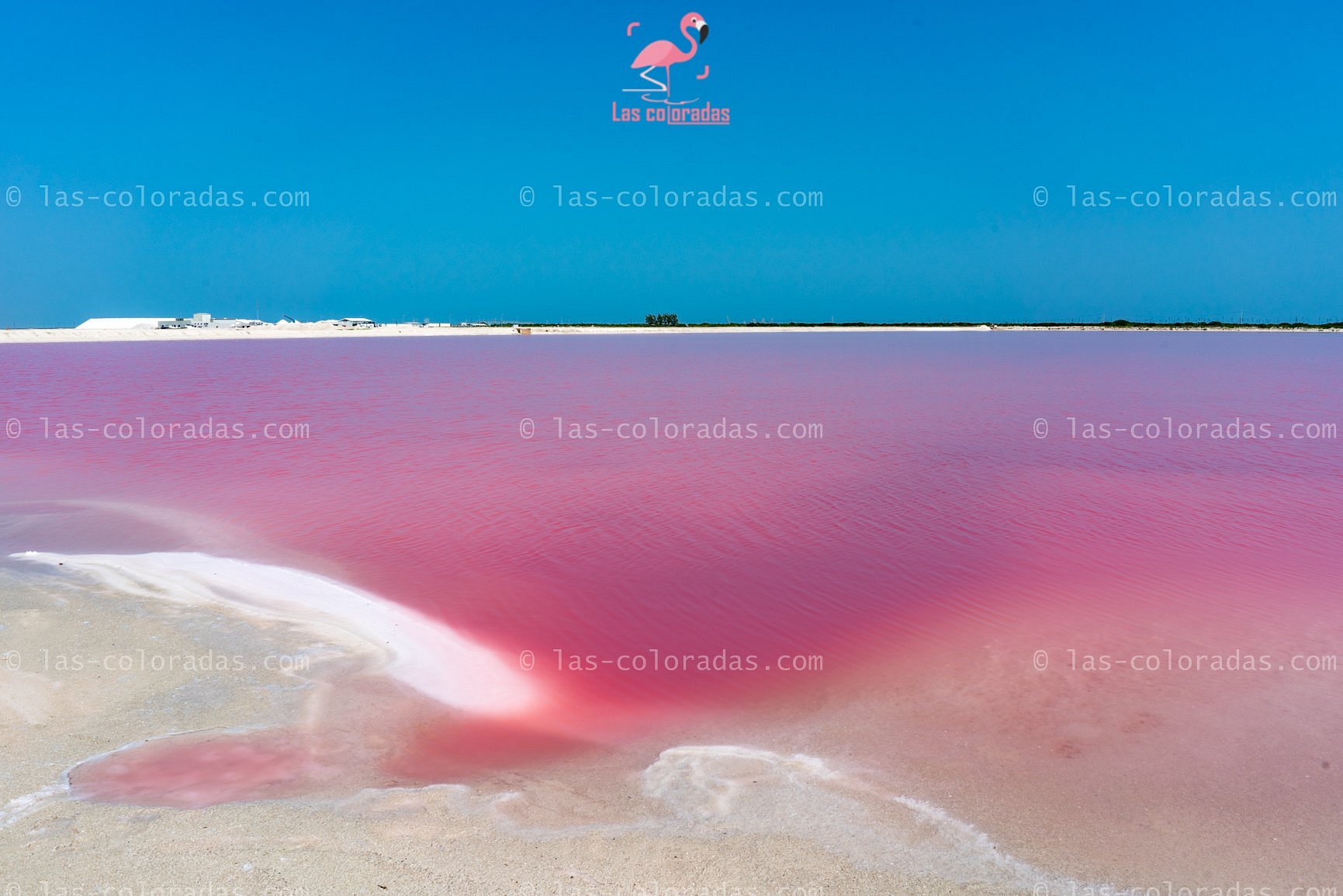 las coloradas tour from playa del carmen