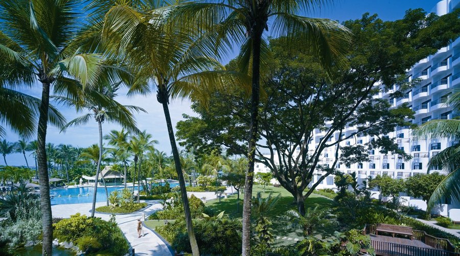 Surrounded by lush greenery