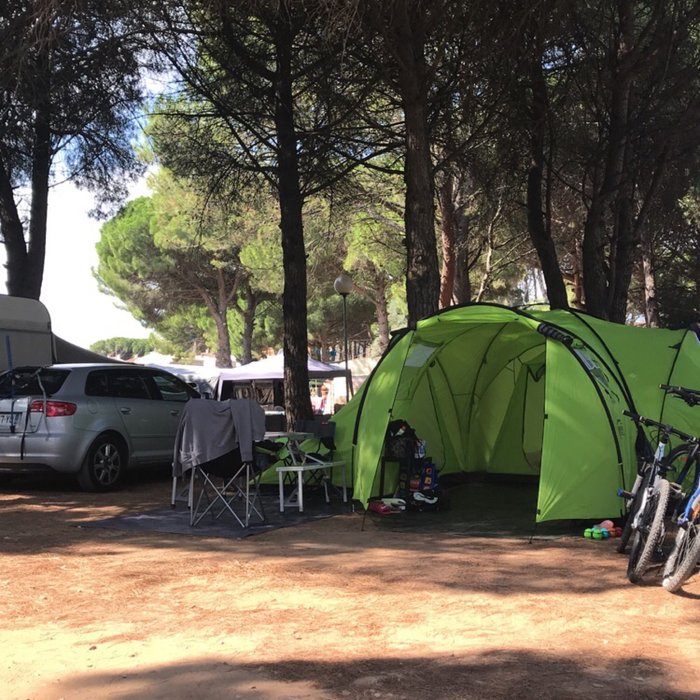 Imagen 2 de Camping Riells