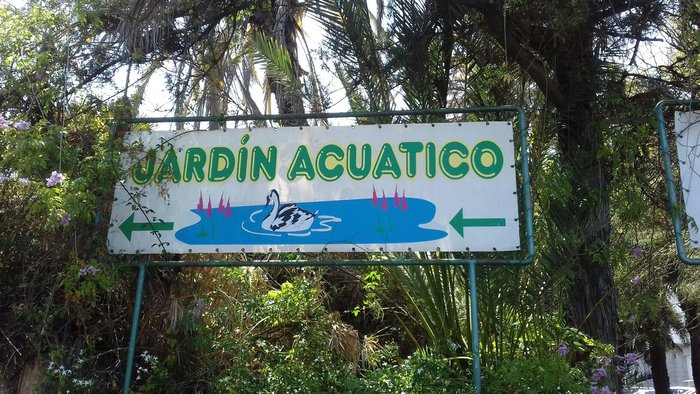 Imagen 4 de Jardín Acuático