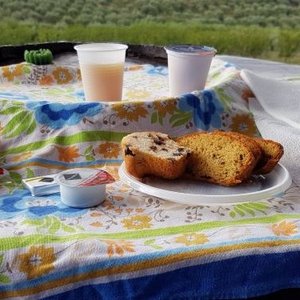 colazione all'aperto