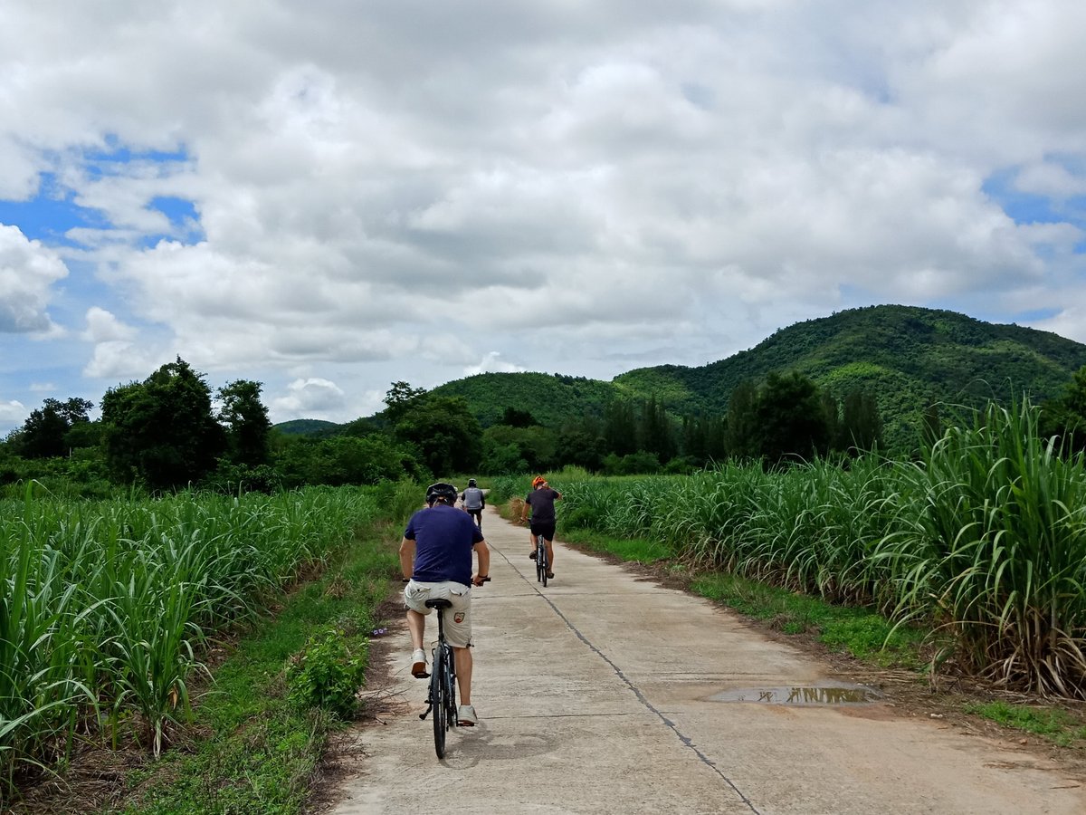 Hua Hin Bike Tours, Хуахин: лучшие советы перед посещением - Tripadvisor