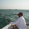 Sarasota Area Realtor