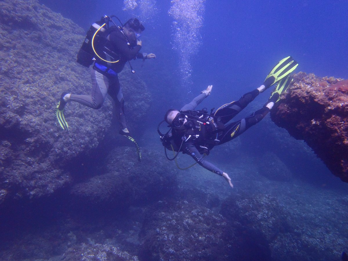 Bonnie Diver Porn - La Morena Diving (Cala d'Or) - All You Need to Know BEFORE You Go