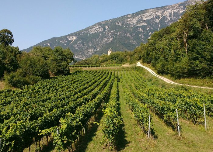 Ala, Italien Tourismus in Ala Tripadvisor