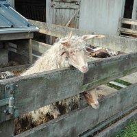 La Ferme Enchantée