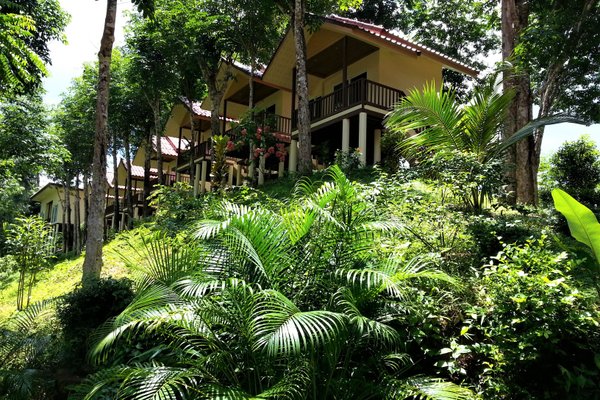 OUR JUNGLE HOUSE (KHAO SOK NATIONAL PARK, TAILÂNDIA): 1.480 fotos,  comparação de preços e avaliações - Tripadvisor