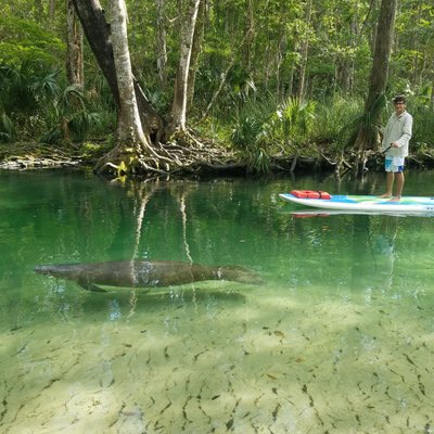 The 15 Best Things To Do In Weeki Wachee 2021 With Photos Tripadvisor