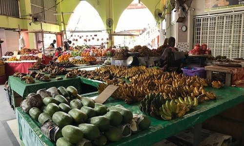 fruits