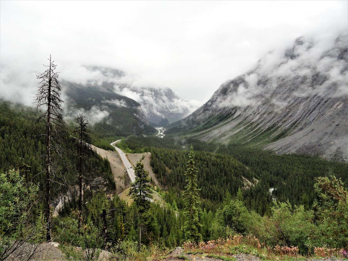 Lower Spiral Tunnels Viewpoint (Yoho National Park) - Alles wat u moet ...