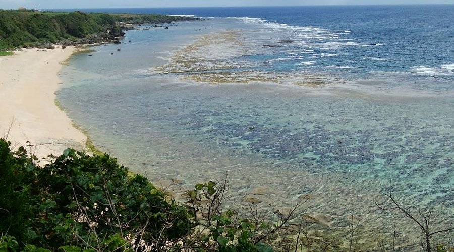 庭から見える崖下の海
