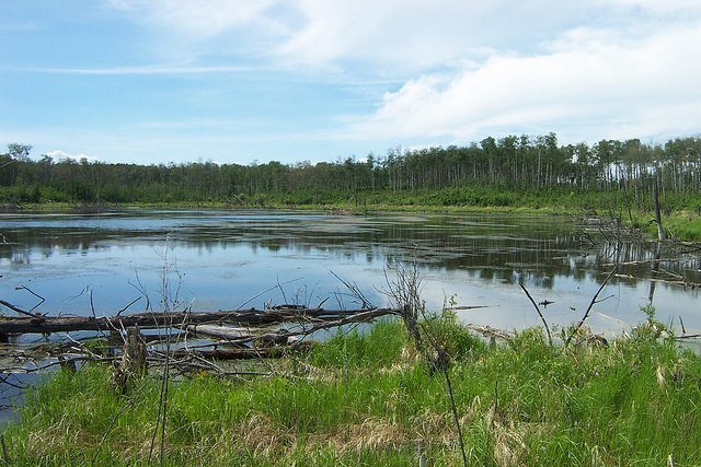 Parkland Natural Area (Tofield, Canada): Address, Phone Number ...