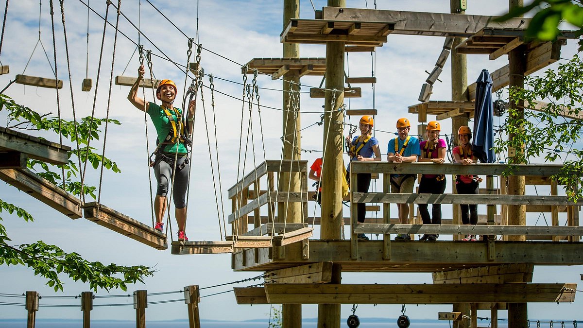 Timber Challenge High Ropes Course - All You Need to Know BEFORE You Go  (2024)
