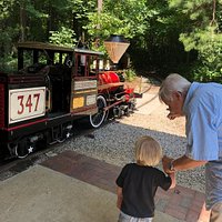 Great train ride past dinosaurs and tunnel