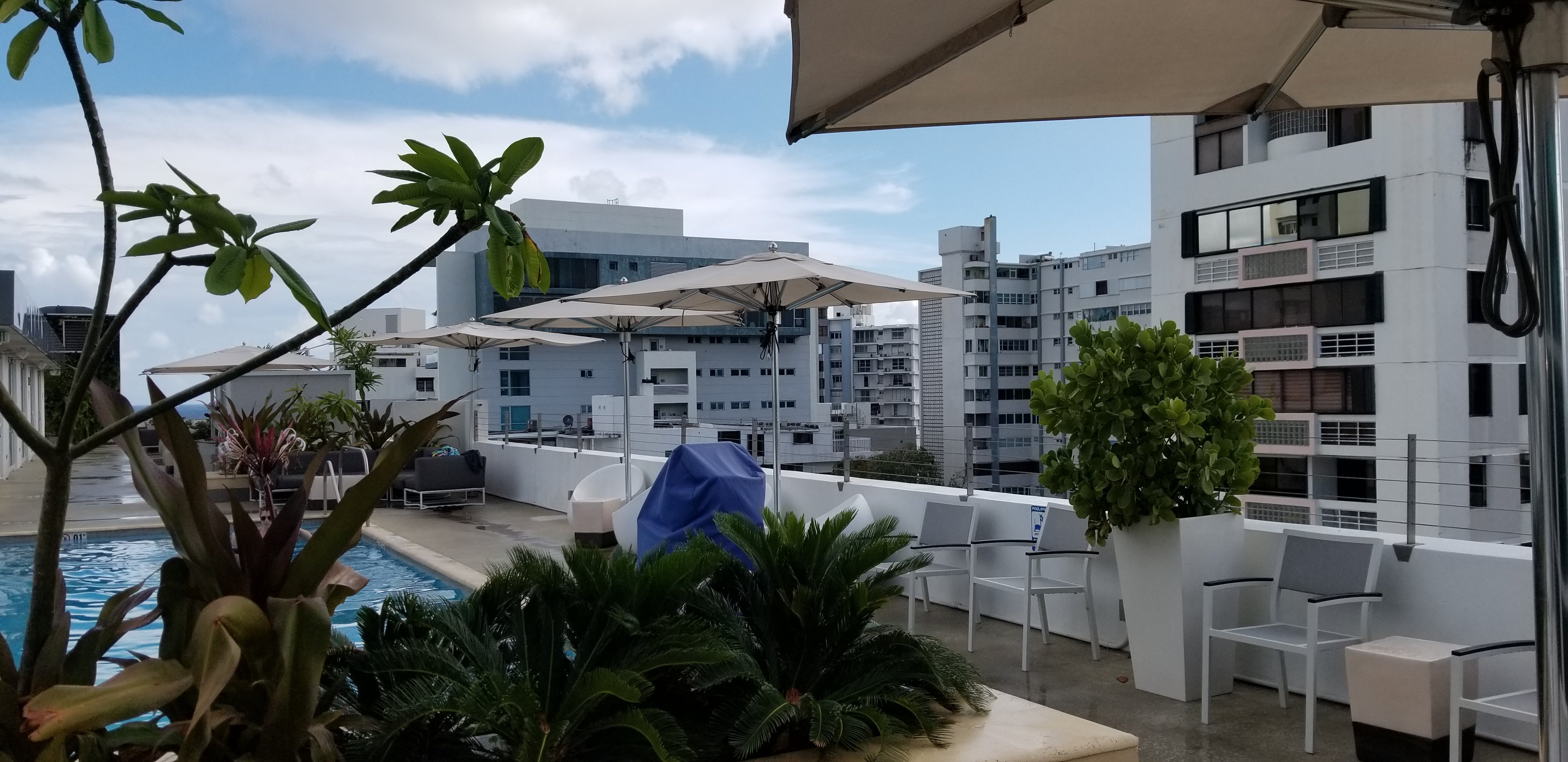 AC HOTEL SAN JUAN CONDADO Updated 2024 Prices Reviews Puerto Rico   Ac Hotel By Marriott 