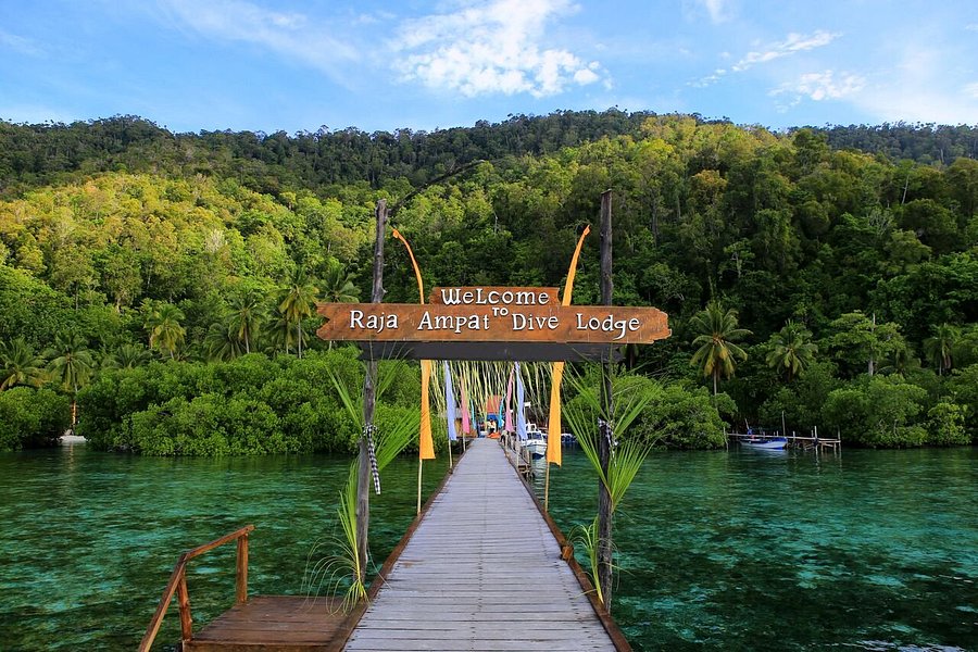 RAJA AMPAT DIVE LODGE - Prices & Hotel Reviews (Indonesia/Mansuar Island) -  Tripadvisor